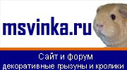 msvinka.ru - Сайт и форум о морских свинках, кроликах и мелких грызунах. Только нужная и полезная информация для владельцев - ничего лишнего!